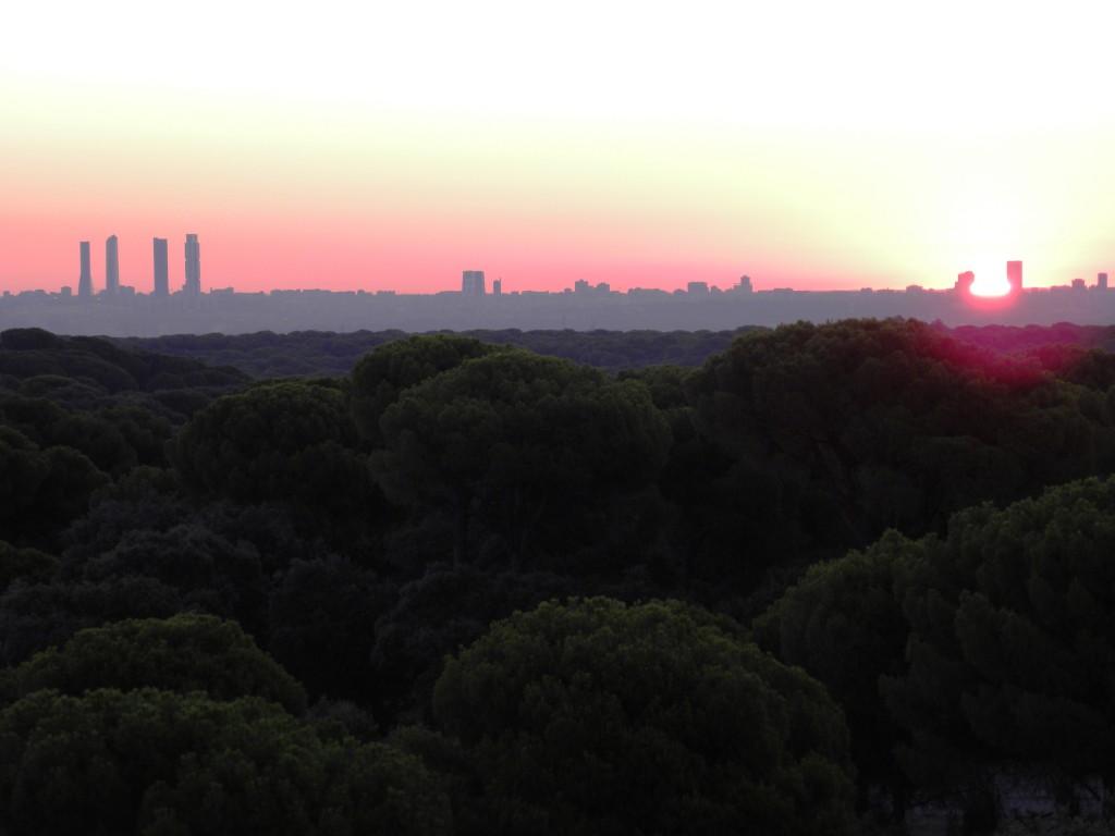 Paisaje Monte del Pilar